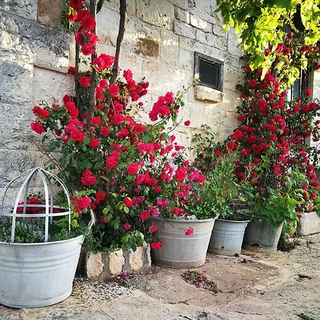 Masseria La Gatta Matta Noci Exterior photo