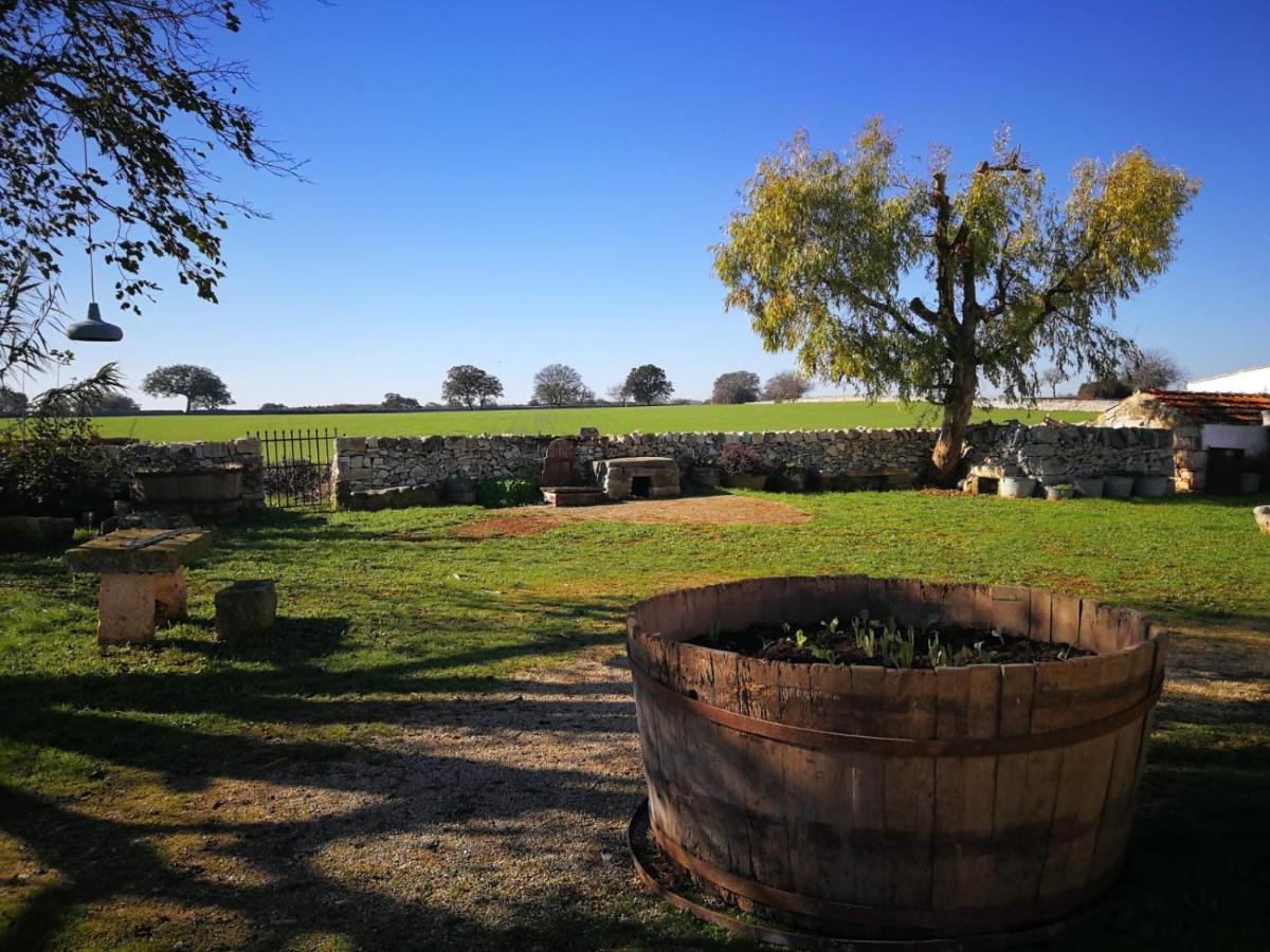 Masseria La Gatta Matta Vakantieboerderij *