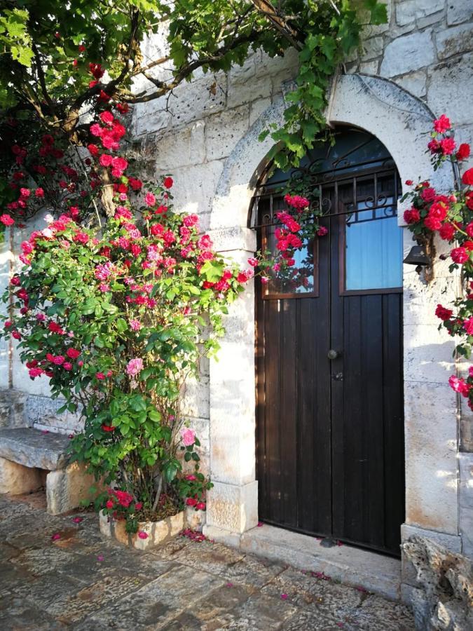Masseria La Gatta Matta *